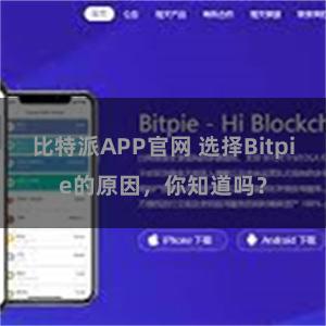 比特派APP官网 选择Bitpie的原因，你知道吗？