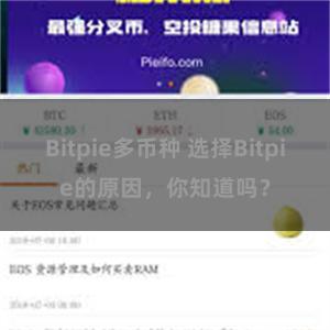 Bitpie多币种 选择Bitpie的原因，你知道吗？