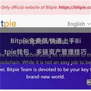 Bitpie免费版 快速上手Bitpie钱包，多链资产管理技巧