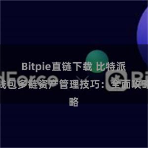 Bitpie直链下载 比特派钱包多链资产管理技巧：全面攻略