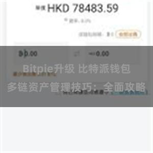 Bitpie升级 比特派钱包多链资产管理技巧：全面攻略