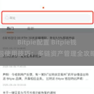 Bitpie配置 Bitpie钱包使用技巧：多链资产管理全攻略