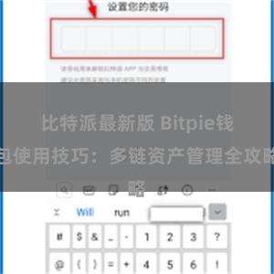 比特派最新版 Bitpie钱包使用技巧：多链资产管理全攻略