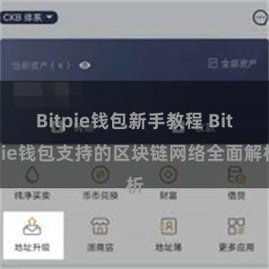 Bitpie钱包新手教程 Bitpie钱包支持的区块链网络全面解析