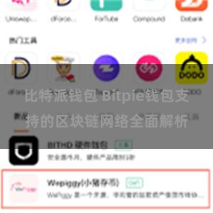 比特派钱包 Bitpie钱包支持的区块链网络全面解析