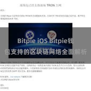 Bitpie iOS Bitpie钱包支持的区块链网络全面解析