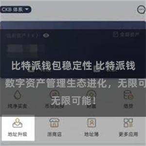 比特派钱包稳定性 比特派钱包：数字资产管理生态进化，无限可能！