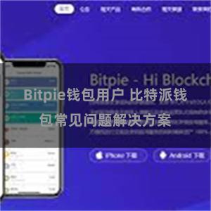 Bitpie钱包用户 比特派钱包常见问题解决方案