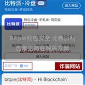 Bitpie钱包安全 比特派钱包常见问题解决方案