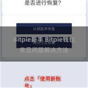 Bitpie新手 Bitpie钱包常见问题解决方法