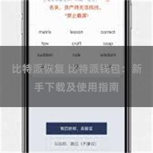 比特派恢复 比特派钱包：新手下载及使用指南