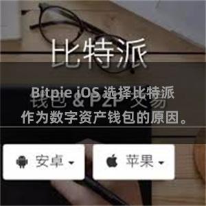 Bitpie iOS 选择比特派作为数字资产钱包的原因。