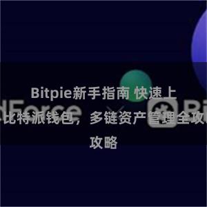 Bitpie新手指南 快速上手比特派钱包，多链资产管理全攻略