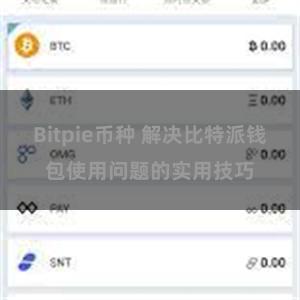 Bitpie币种 解决比特派钱包使用问题的实用技巧