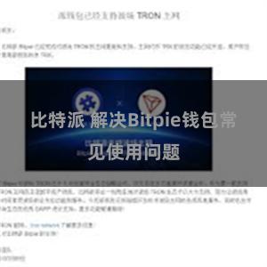 比特派 解决Bitpie钱包常见使用问题