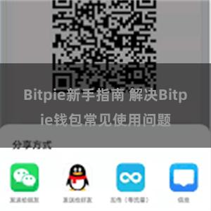 Bitpie新手指南 解决Bitpie钱包常见使用问题