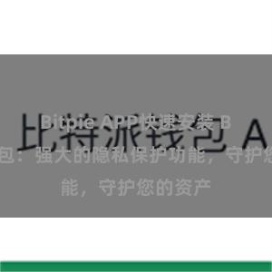 Bitpie APP快速安装 Bitpie钱包：强大的隐私保护功能，守护您的资产