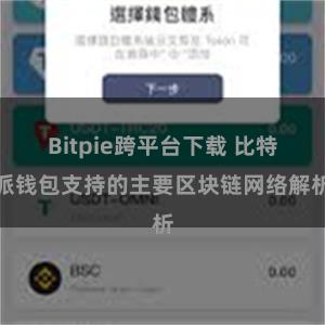 Bitpie跨平台下载 比特派钱包支持的主要区块链网络解析