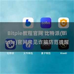 Bitpie教程官网 比特派(Bitpie)官网常见诈骗防范提醒