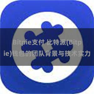 Bitpie支付 比特派(Bitpie)钱包的团队背景与技术实力