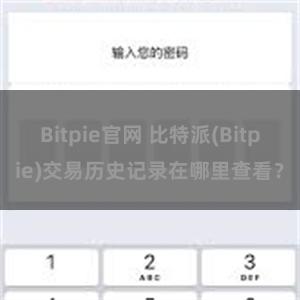 Bitpie官网 比特派(Bitpie)交易历史记录在哪里查看？