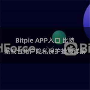 Bitpie APP入口 比特派钱包用户隐私保护措施详解