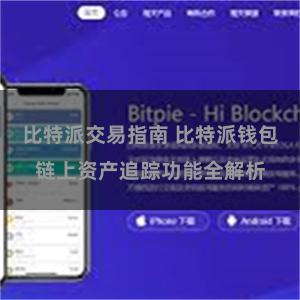 比特派交易指南 比特派钱包链上资产追踪功能全解析