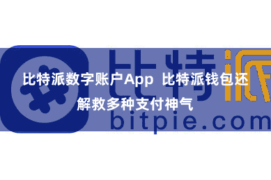 比特派数字账户App  比特派钱包还解救多种支付神气