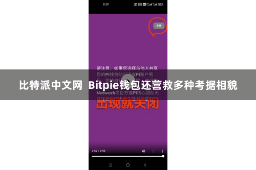 比特派中文网  Bitpie钱包还营救多种考据相貌